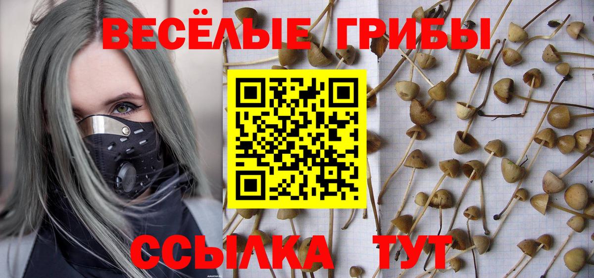 Ярославль  Псилоцибиновые грибы GOLDEN TEACHER  Вход с VPN 